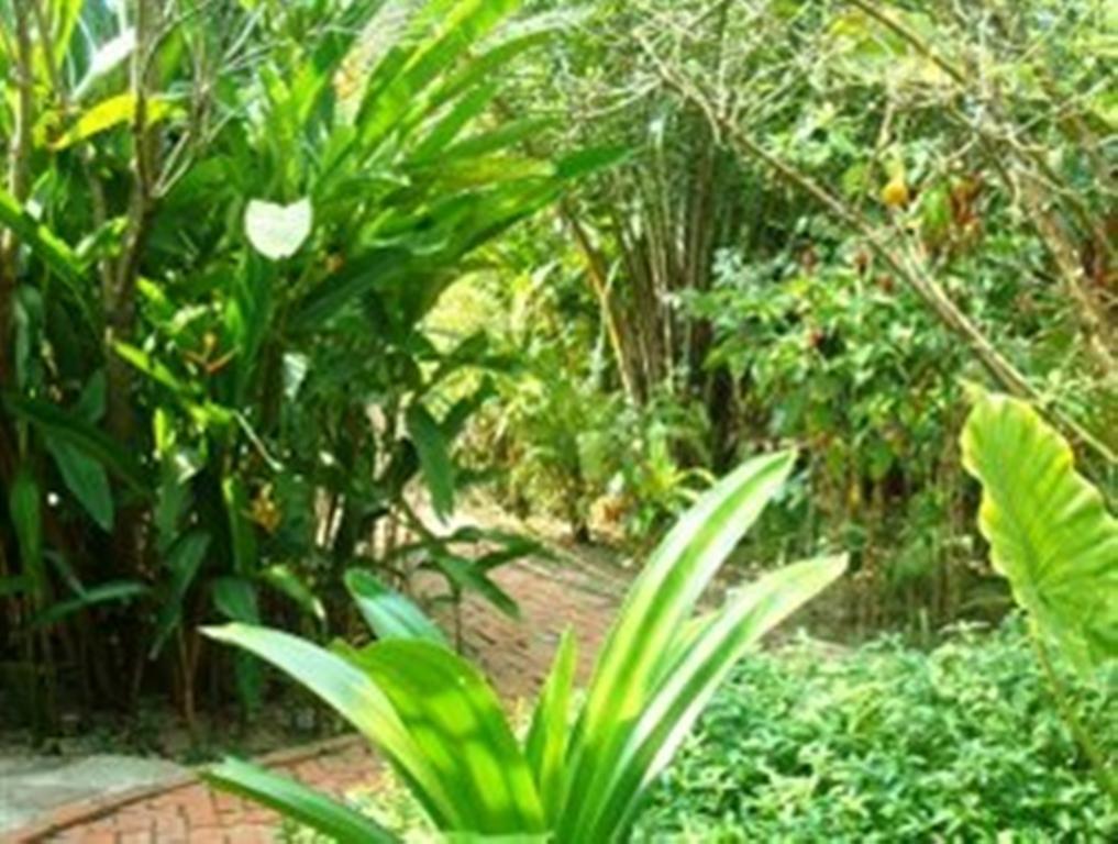 Hotel Botanica Kep Zewnętrze zdjęcie